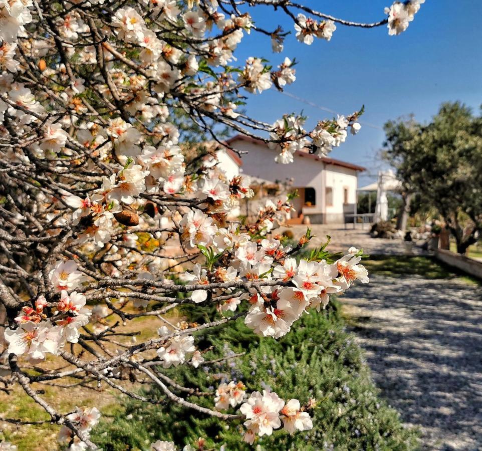 Vila Borgo Santa Lucia Cropani Exteriér fotografie